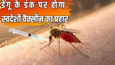 Indigenous vaccine will counter dengue, doses may be available this year