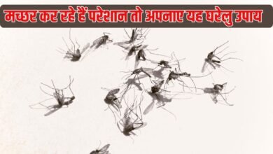 Get Rid of Mosquitoes: If mosquitoes are bothering you, try this home remedy; you will get instant relief and also get rid of toxic smoke.