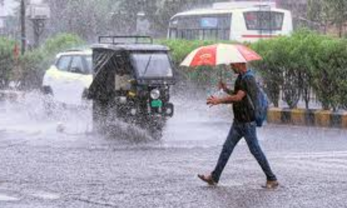 Haryana Weather Alert Weather Update North India