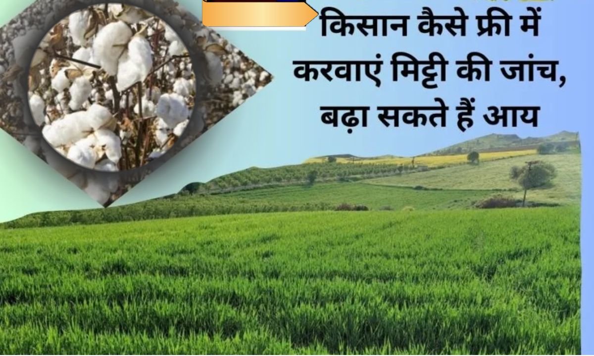 How to get a soil test done