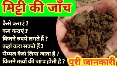 How to get a soil test done