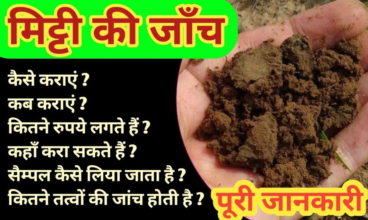 How to get a soil test done