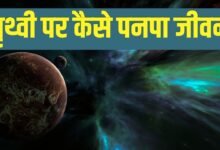 Life On Earth: How did life flourish on Earth