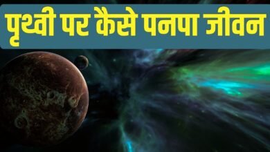 Life On Earth: How did life flourish on Earth