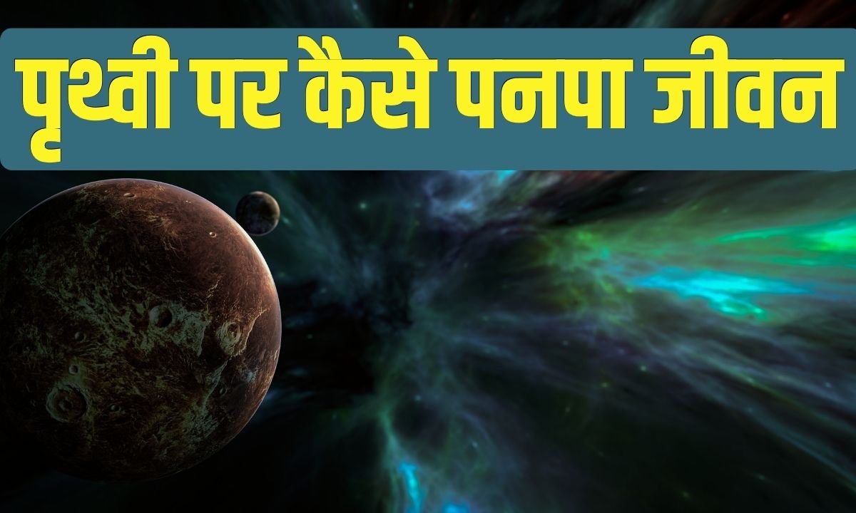 Life On Earth: How did life flourish on Earth