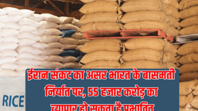 Basmati Export Affected: Iran crisis impacts India's Basmati exports, trade worth Rs 55,000 crore could be affected.