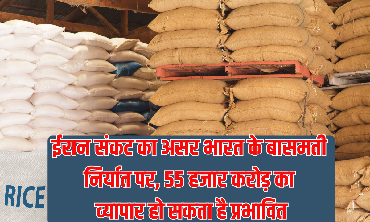 Basmati Export Affected: Iran crisis impacts India's Basmati exports, trade worth Rs 55,000 crore could be affected.