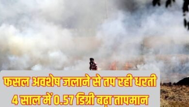 Straw Burning Rising Temperature: The earth is heating up due to crop residue burning, the temperature has risen by 0.57 degrees in 4 years.