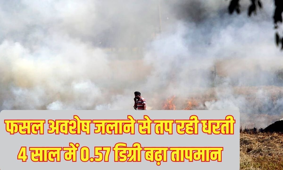 Straw Burning Rising Temperature: The earth is heating up due to crop residue burning, the temperature has risen by 0.57 degrees in 4 years.