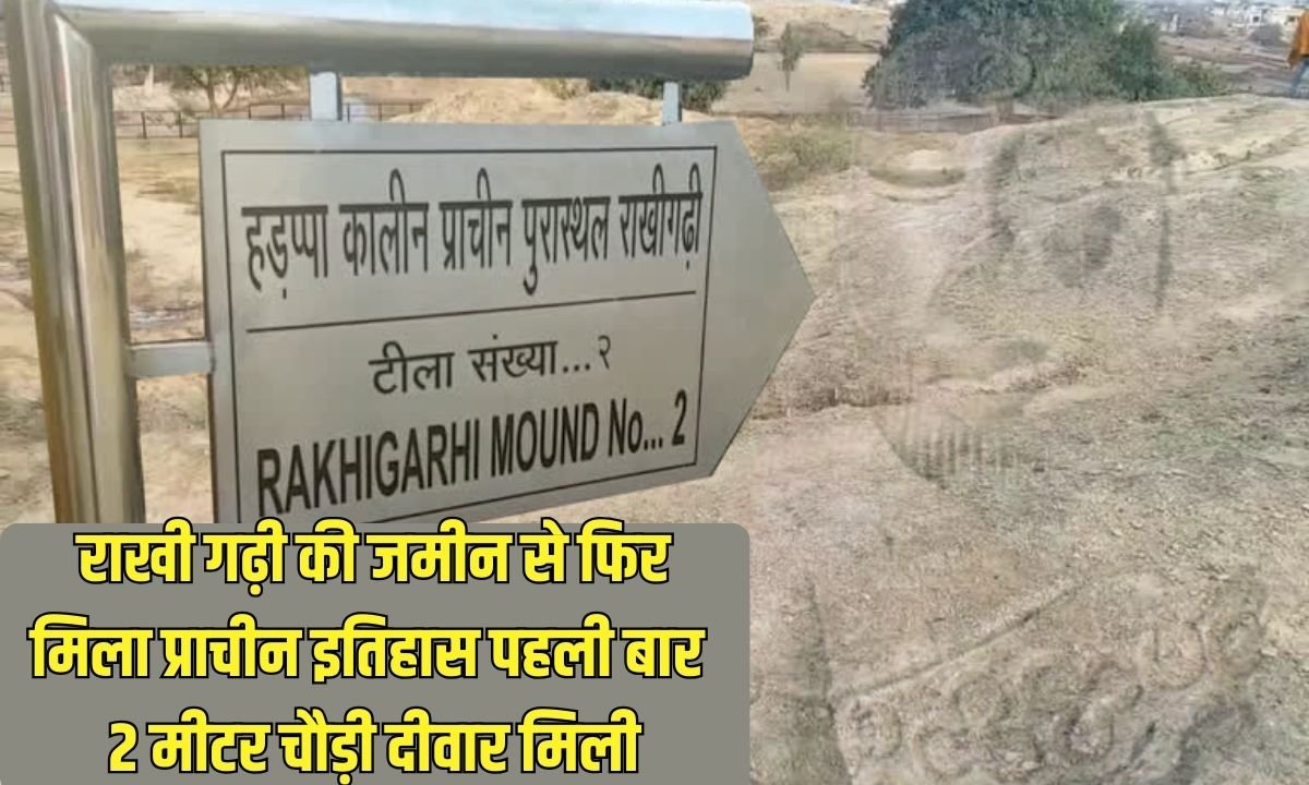 Rakhigarhi 7000 Year Old Smart City: Ancient history found again from the land of Rakhigarhi, for the first time a two-meter wide wall was found.