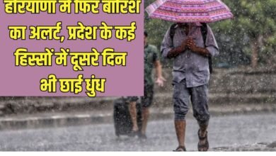 हरियाणा में फिर बारिश का अल्ट, प्रदेश के कई हिस्सों में दूसरे दिन भी छाई धुंध