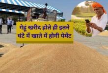 Wheat MSP Payment will be made within so many hours after the wheat is sold