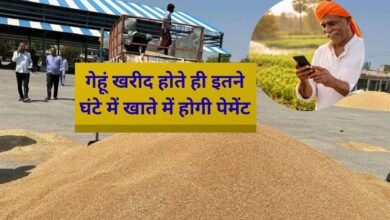 Wheat MSP Payment will be made within so many hours after the wheat is sold