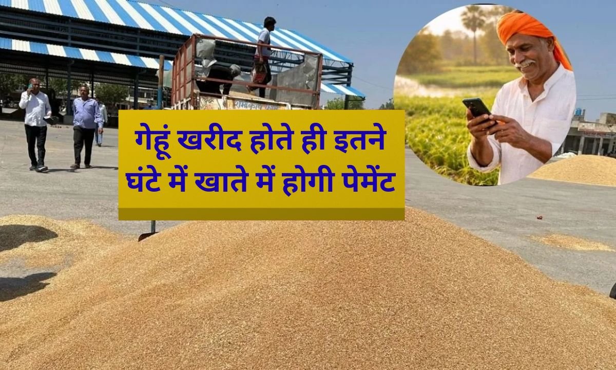 Wheat MSP Payment will be made within so many hours after the wheat is sold