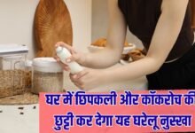 Lizard and cockroach: Get rid of lizards and cockroaches in the house