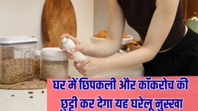 Lizard and cockroach: Get rid of lizards and cockroaches in the house