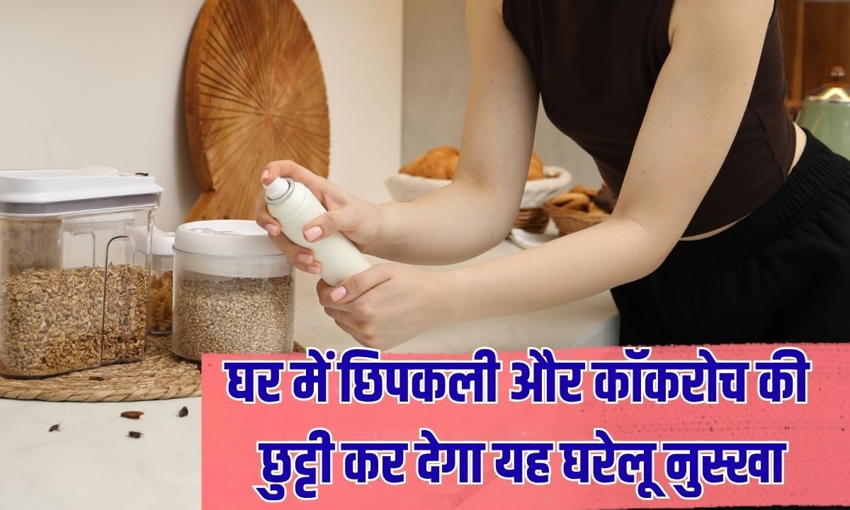 Lizard and cockroach: Get rid of lizards and cockroaches in the house