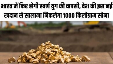भारत में फिर होगी स्वर्ण युग की वापसी, देश की इस नई खदान से सालाना निकलेगा 1000 किलोग्राम सोना