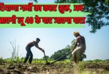 हरियाणा गर्मी का कहर शुरू, अब सताएगी लू 40 के पार जाएगा पारा