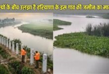 haryana up land dispute sonipat manoli village