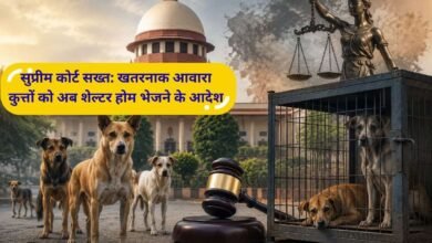 Haryana news The atmosphere of fear on the roads will end, the Supreme Court has given strict instructions