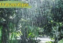 haryana today weather schedule rain