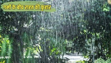 haryana today weather schedule rain