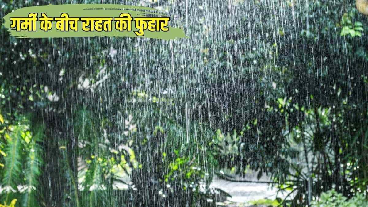haryana today weather schedule rain
