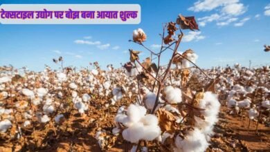 टेक्सटाइल उद्योग पर बोझ बना आयात शुल्क, तमिलनाडू के मुख्यमंत्री ने केंद्र को लिखा पत्र