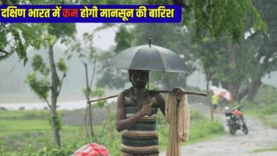 दक्षिण भारत में क्यों कम होगी मानसून की बारिश, अरब सागर में बनी यह खास परिस्थिति