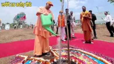 यूपी में बनेगा अनोखा विश्व रिकार्ड, एक दिन में लगेंगे 35 करोड़ पौधे