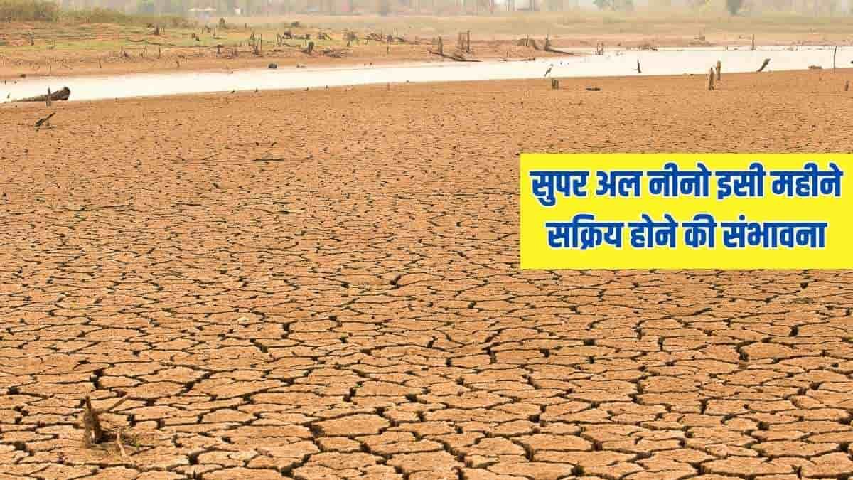 हरियाणा, पंजाब में सितंबर में दिखेगा सूखे का असर