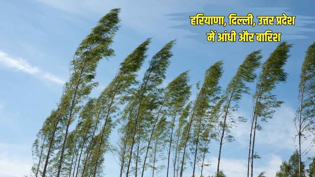 हरियाणा, दिल्ली, उत्तर प्रदेश में आंधी और बारिश