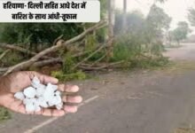 हरियाणा- दिल्ली सहित आधे देश में बारिश के साथ आंधी-तूफान