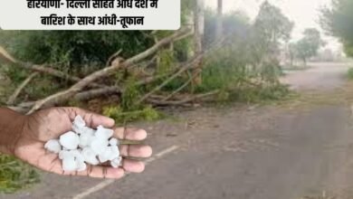 हरियाणा- दिल्ली सहित आधे देश में बारिश के साथ आंधी-तूफान