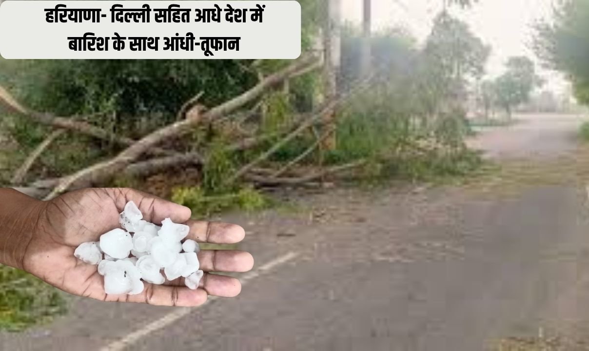 हरियाणा- दिल्ली सहित आधे देश में बारिश के साथ आंधी-तूफान