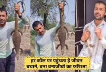 Bhiwani Bawani Khera Monty Youtuber is saving the lives of animals