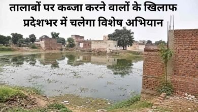 Haryana News Instructions issued DC remove illegal encroachments on ponds