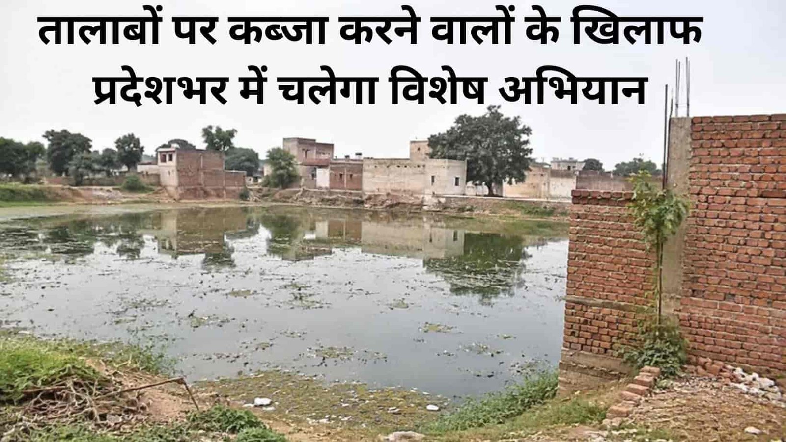 Haryana News Instructions issued DC remove illegal encroachments on ponds