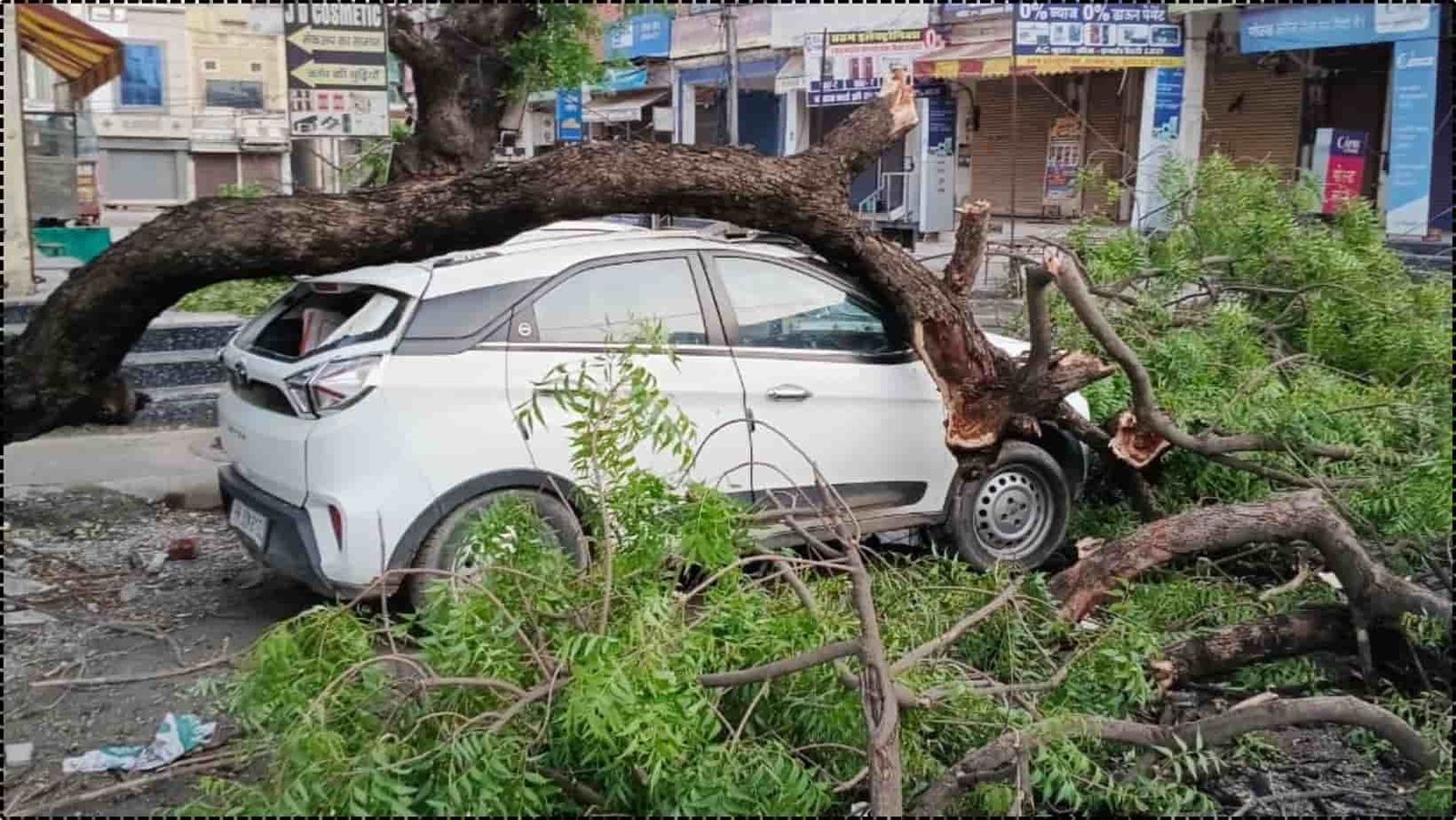 Jind News Storm trees uprooted poles toppled