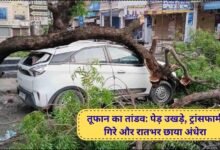 Jind News Storm trees uprooted poles toppled