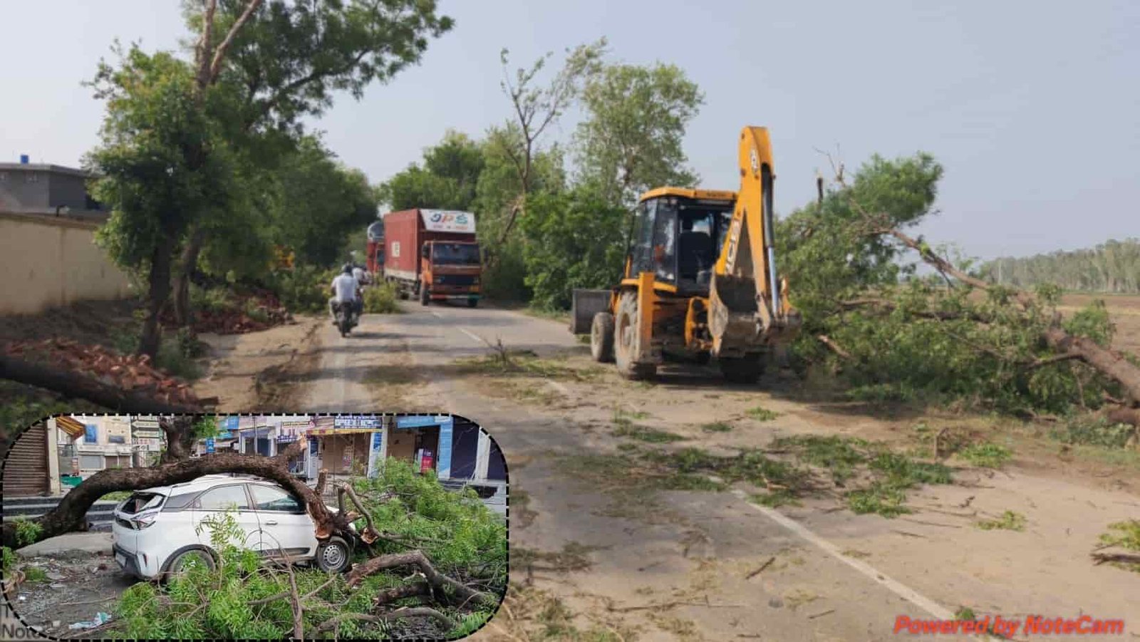 Jind News Storm trees uprooted poles toppled