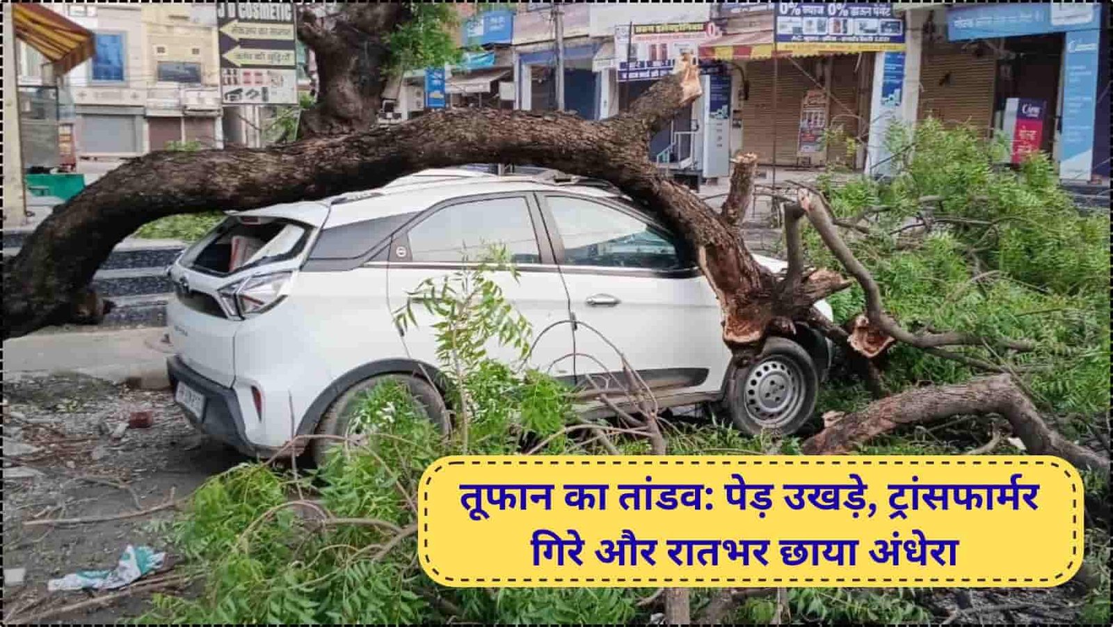 Jind News Storm trees uprooted poles toppled
