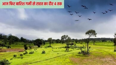 हरियाणा सहित देश के इन राज्यों में आज फिर बारिश, गर्मी से राहत का दौर अभी 4 तक