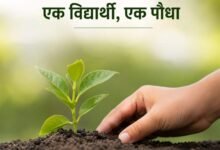 New system Haryana colleges one student one plant