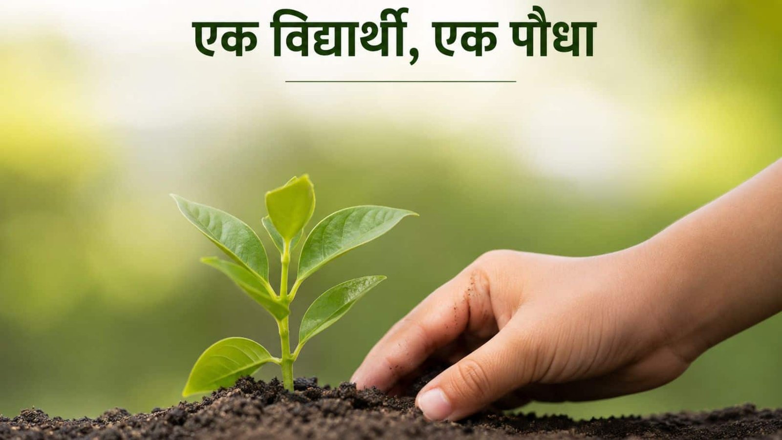 New system Haryana colleges one student one plant
