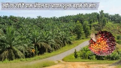 क्यों उठ रही है पाम ऑयल पर आयात शुल्क बढ़ाने की मांग
