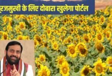 हरियाणा के किसानों के लिए बड़ी खुशखबरी, सूरजमुखी के लिए दोबारा खुलेगा पोर्टल