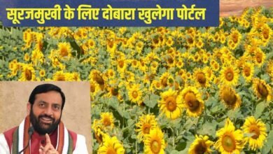 हरियाणा के किसानों के लिए बड़ी खुशखबरी, सूरजमुखी के लिए दोबारा खुलेगा पोर्टल
