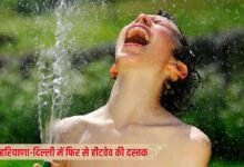 हरियाणा-दिल्ली में फिर से हीटवेव की दस्तक, इन राज्यों में होगी बारिश